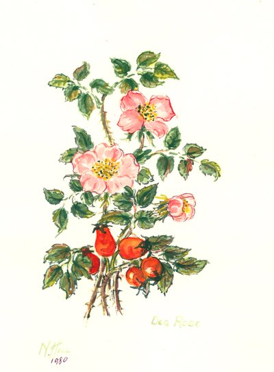 Dog Rose by Nell Hill